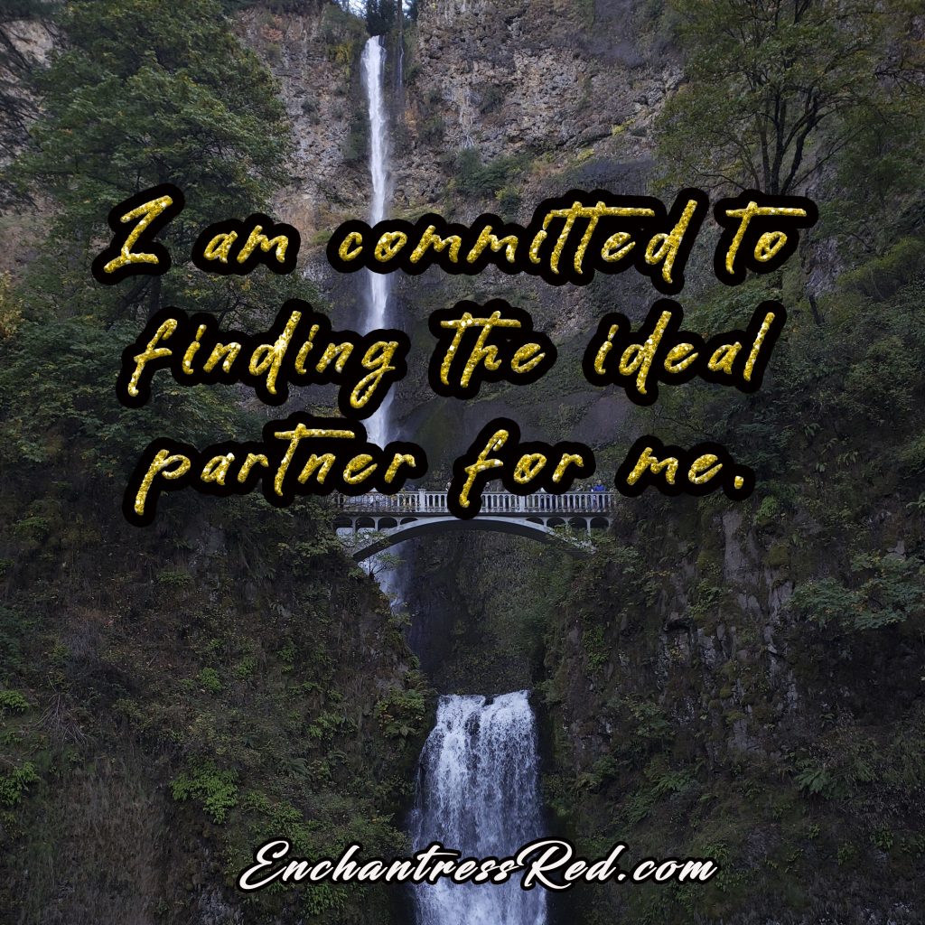 I am committed to finding the ideal partner for me.