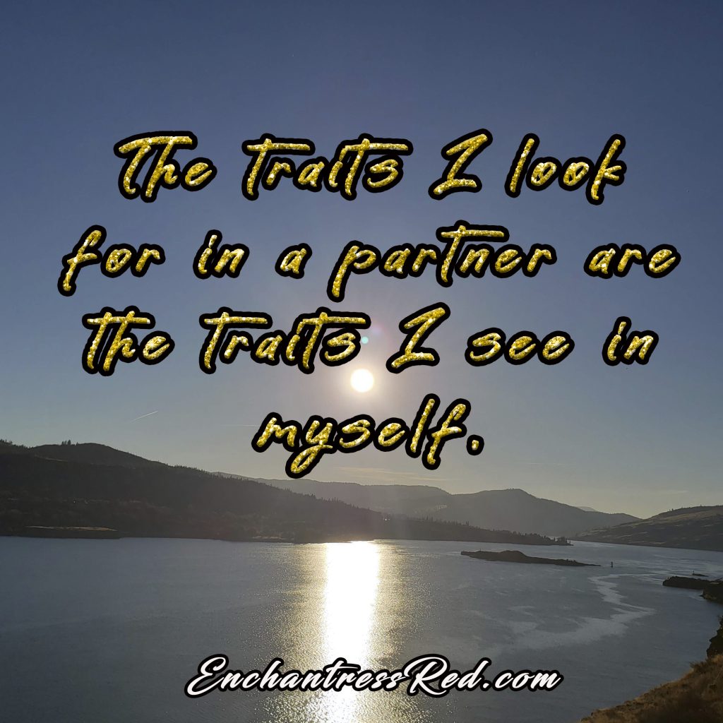 The traits I look for in a partner are the traits I see in myself.