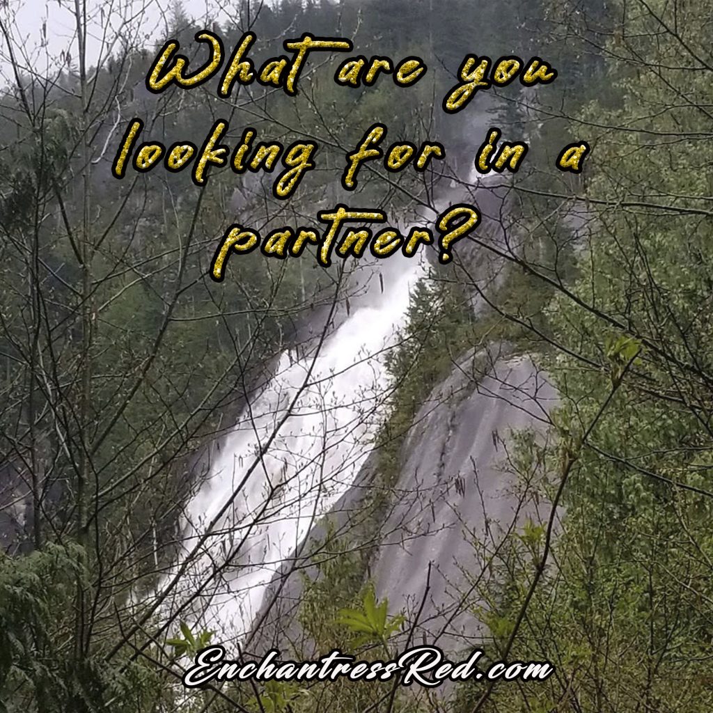What are you looking for in a partner?